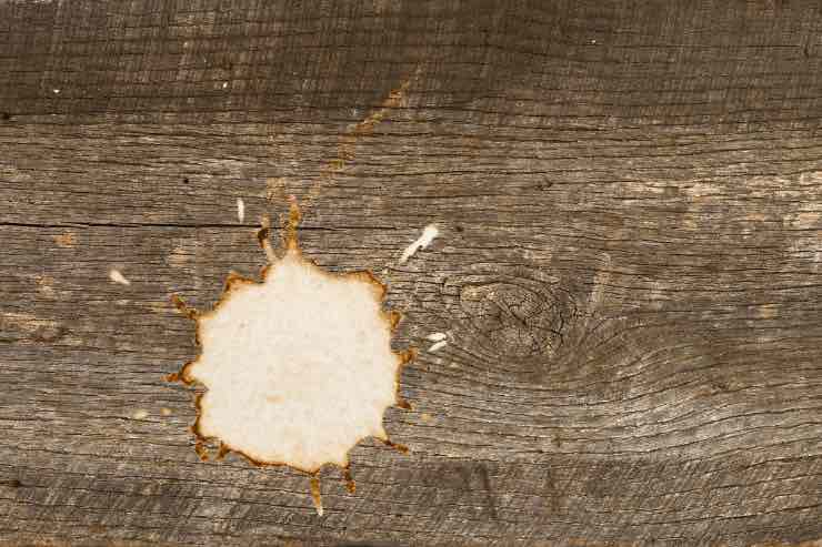 Se le macchie di legno sono un problema allora prova questi metodi efficaci ed economici