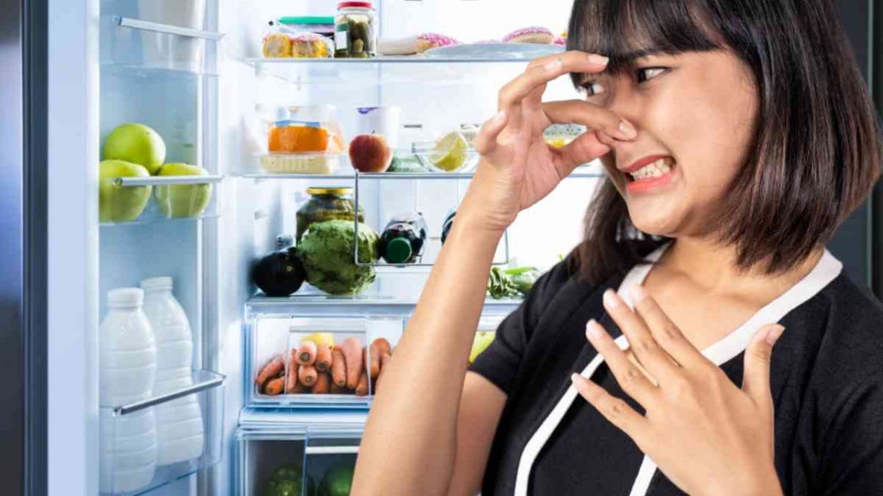 Cattivi odori nel frigo? Armati di questo ingrediente e risolvi il problema  in un minuto