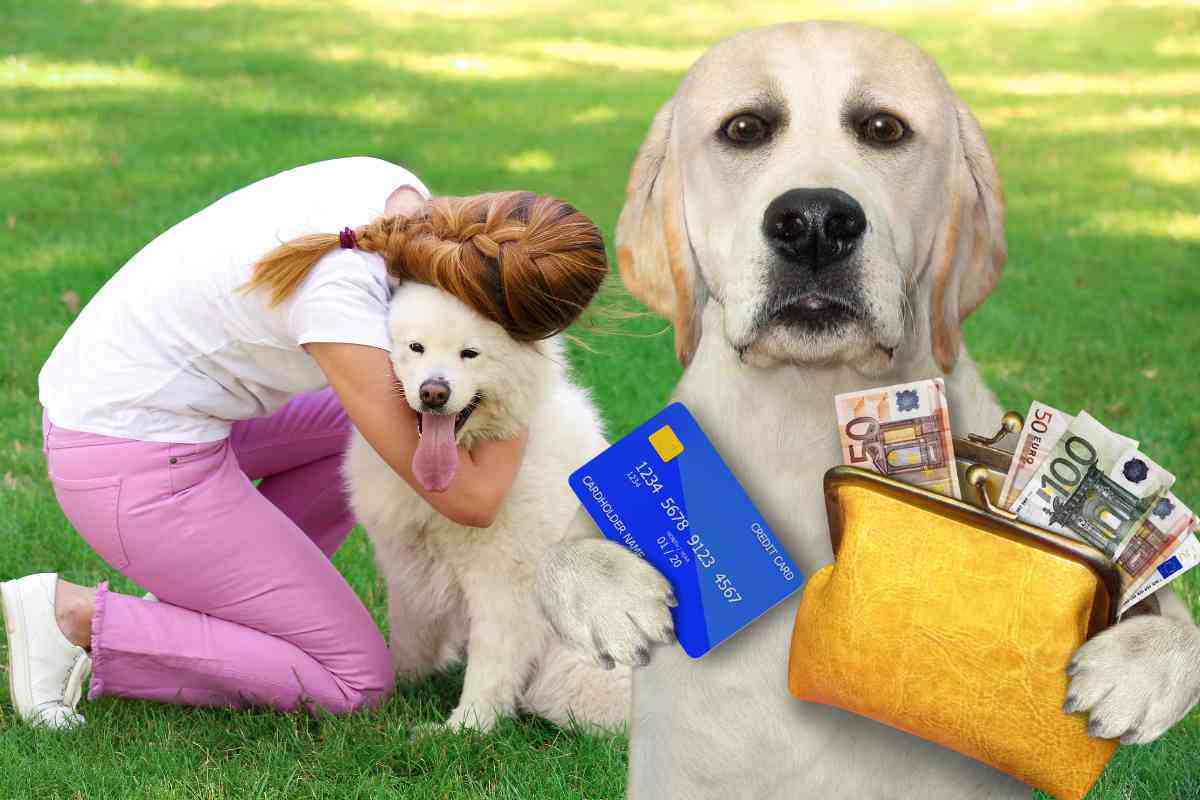 Costa cura cane: quanto spende