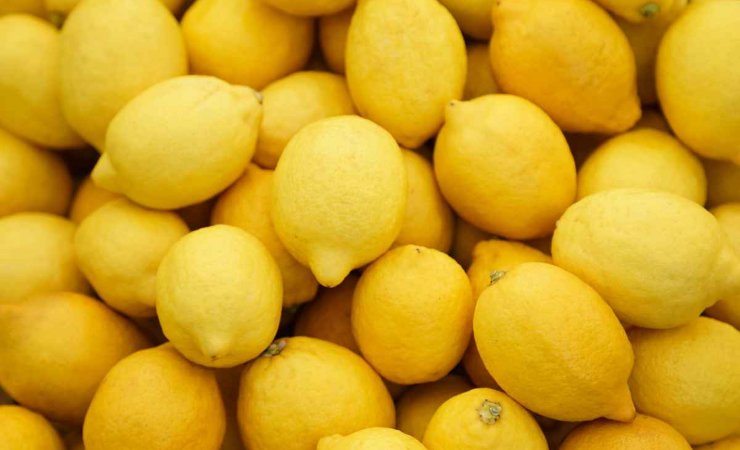Metodi limone pulizia cucina
