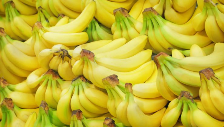 Conservare banane: la procedura