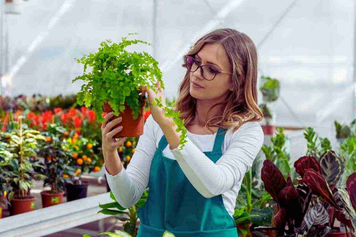 giardino fiorente ingrediente casalingo