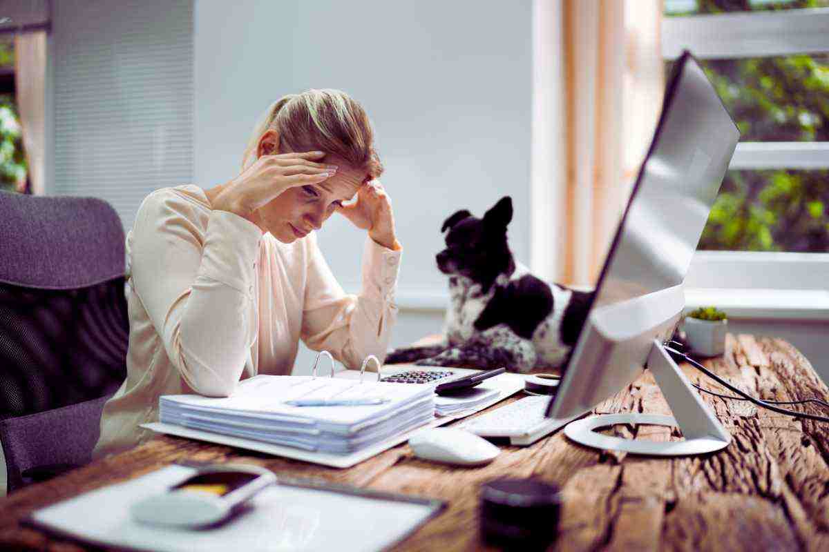 stress persone animale domestico