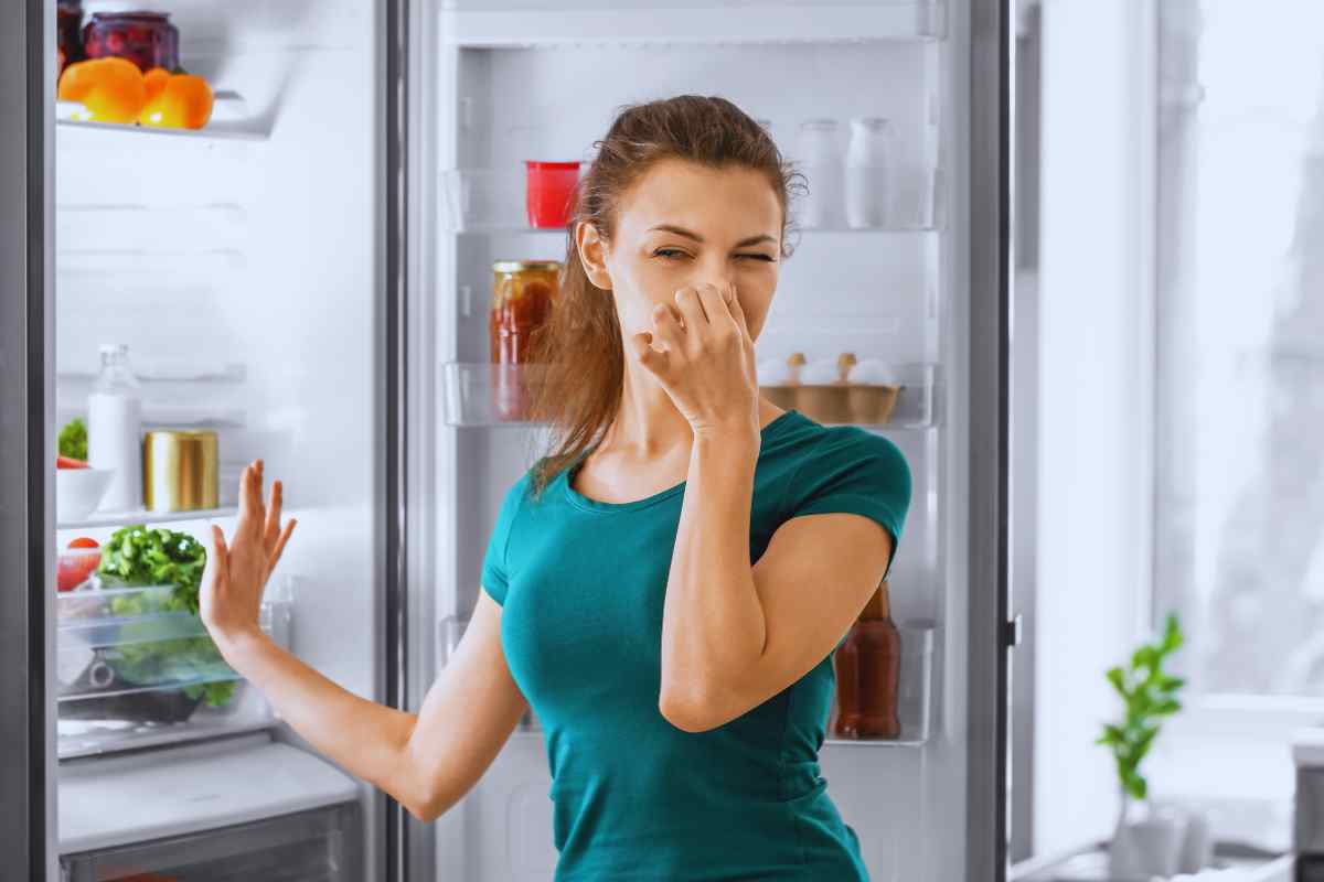 Cattivi odori frigorifero: trucco