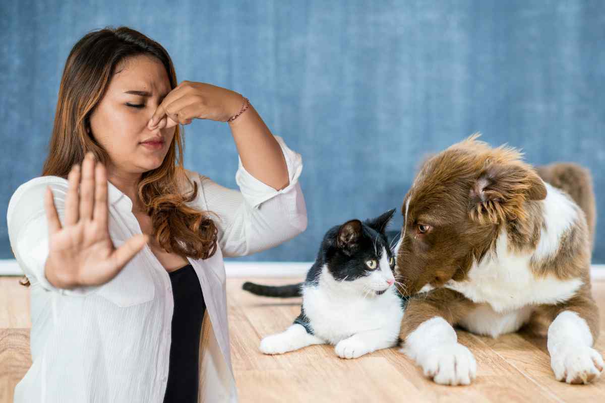 odore urina cani gatti addio